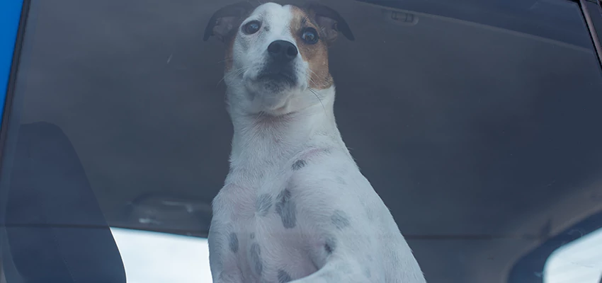 Car Lockout Solutions in Exeter, California