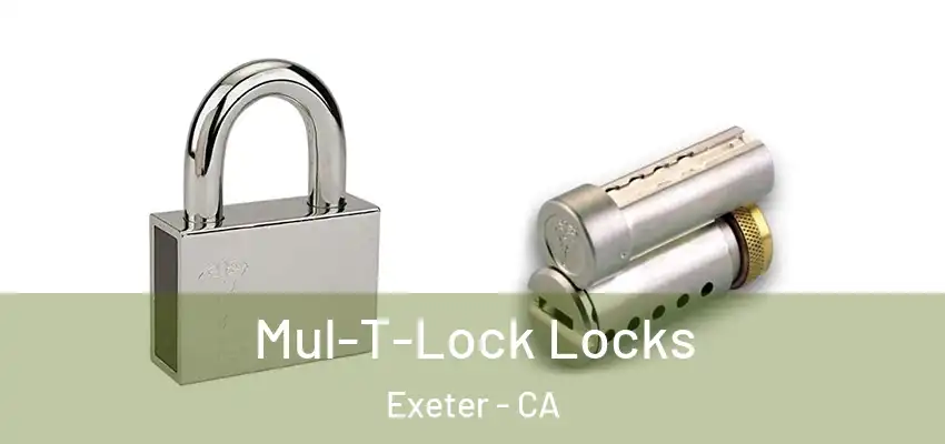  Mul-T-Lock Locks Exeter - CA